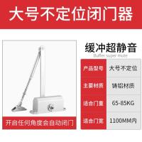 推拉门闭门器自动家用关门器液压缓冲防火门室外铁门弹簧关门神器- - 大号【不定位】