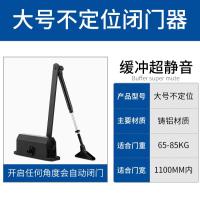 推拉门闭门器自动家用关门器液压缓冲防火门室外铁门弹簧关门神器- - 大号【哑黑不定位】
