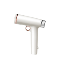 摩飞(morphy richards) 挂烫机 MR2030 白色 -