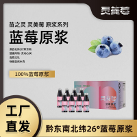 苗之灵灵美莓蓝莓原浆 100ml*8瓶
