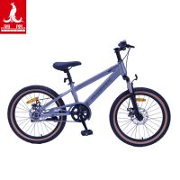 凤凰20寸学生自行车-贝塔PLUS灰色