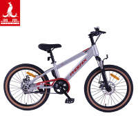 凤凰20寸学生自行车-贝塔PLUS银红色
