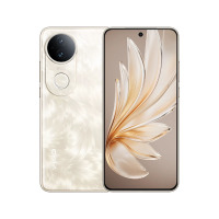 vivo S20 8GB+256GB --凤羽金
