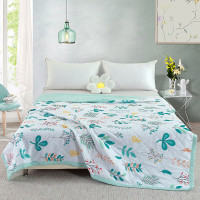 北极绒 西雅清爽夏凉被 180*200cm 布袋装