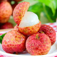 高州老树白糖罂荔枝5斤精选果(广东省外收货地址)