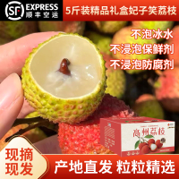 2025茂名高州新鲜现摘现发妃子笑荔枝5斤装果园品质清甜无渣顺丰冷链空运（广东省外收货地址）