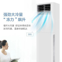 格力 GREE清凉风变频冷暖2匹2级能效--柜机空调KFR-50LW/(50536)FNhAc-B2JY01 -