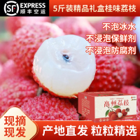 2025高州桂味荔枝5斤装现摘现发果园品质清甜无渣顺丰冷链空运(广东省外收货地址)