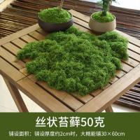 仿真苔藓草皮仿生人造假青苔微景观布置摆件草坪盆景盆栽铺面-丝状苔藓深绿色50g