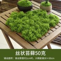 仿真苔藓草皮仿生人造假青苔微景观布置摆件草坪盆景盆栽铺面-丝状苔藓浅绿色50g
