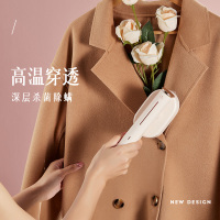 小画仙干湿两用电熨斗 手持挂烫机除皱不伤衣小型迷你熨烫机 便携式旅行款 LDYD-1001 白色