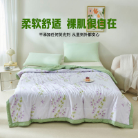 罗曼罗兰大豆水洗夏被 雅致花卉 200*230cm