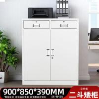 钢制储物柜铁皮柜-二斗矮柜;常规款