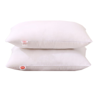 浪莎 LSZX002 舒适对枕 48*74cm