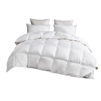 浪莎 LSDB010 臻品羽绒被 200*230cm