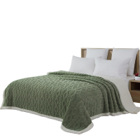 FAUNEN 芳恩 FN-T9021-2 塔芙绒双层多用毯 菱格-抹茶绿 200×230cm 毯重：2200g