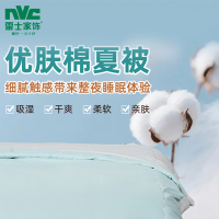 雷士家饰 HD-887 优肤棉夏被(蓝 +灰) 200x230cm