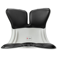 BKT BKT01D482CX2 人体工学护腰坐姿椅 加大版 神秘黑-礼品版