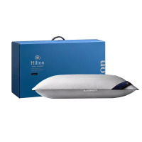 CARESEEN 康尔馨 X31422501000112（低枕） 美好年代008枕芯（单只） 48*74cm*1