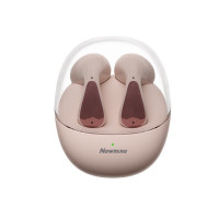 纽曼(Newsmy)H61TWS太空舱运动蓝牙耳机H61 主动降噪耳机 运动跑步骑行通话降噪 低延迟长续航通 卡其色