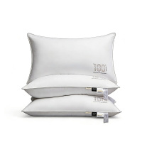 CARESEEN 康尔馨 A88231268000121 希尔顿百年致敬鹅绒枕芯（单只） 48*74