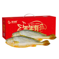 星龙港 1000g 鲜活捕捞大黄鱼礼盒 500g*2条