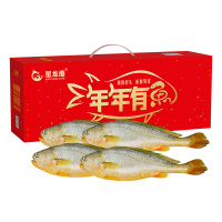 星龙港 2000g 鲜活捕捞大黄鱼礼盒 500g*4条