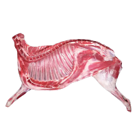 鲜飨 内蒙原切草原羊肉1388半羊礼 5kg