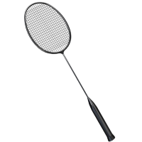 凯亚仕 KIYERSY KYS-920 魅影全碳素羽毛球拍 单支装