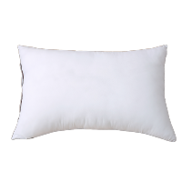 PLOVER 抗菌除螨枕芯 两只