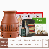 真艾堂 zsjctc 紫砂灸全家福套装