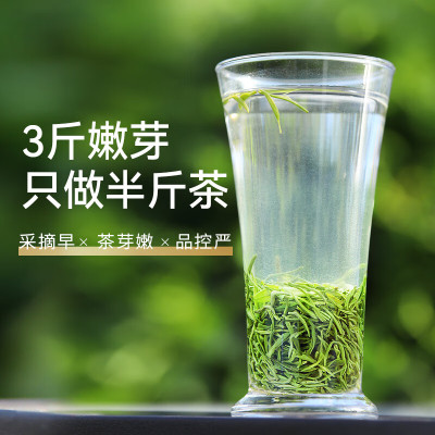 乐品乐茶毛尖茶 绿茶茶叶2020新茶雨前信阳嫩芽春茶散装浓香型250g(125g*2罐)