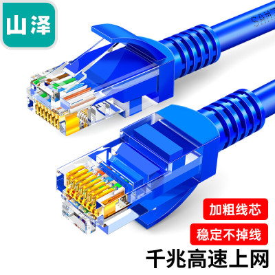 山泽(SAMZHE)超五类网线 CAT5e类高速百兆网线 1米 工程/宽带电脑家用连接跳线 成品网线蓝色SZW-1010