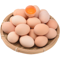 禽宝 农家养土鸡蛋现捡新鲜谷物柴鸡蛋盒装 40枚