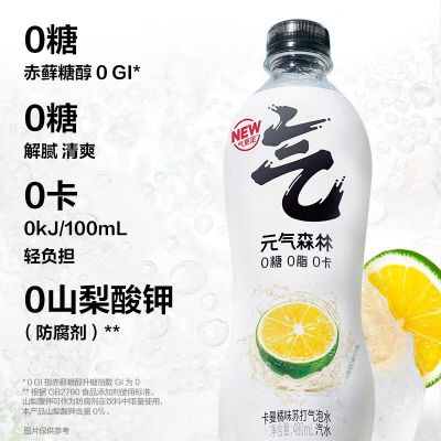 元气森林苏打气泡水-经典-卡曼橘 PET480ml*15 纸箱装