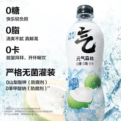 元气森林苏打气泡水-海盐-海盐椰子 PET480ml*15 纸箱装