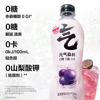 元气森林苏打气泡水 经典-夏黑葡萄 PET480ml*15 纸箱装