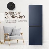 海尔(Haier)202升冰箱双开门风冷无霜冷藏冷冻浅薄机身90°开门家用租房两门冰箱 BCD-202WGHC290B9