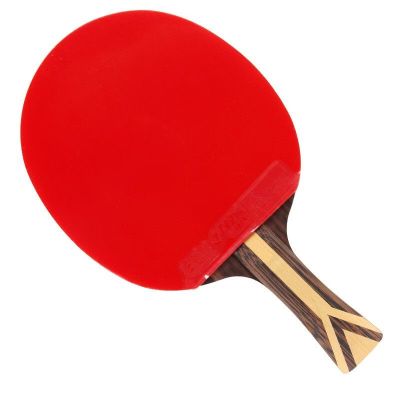 红双喜乒乓球拍 H9002 9星