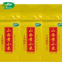 十月稻田 山西 黄小米500g*3袋