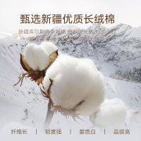HOYO /2518 34*75cm 毛巾 2.00 条/盒 (计价单位:盒) 蓝粉