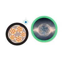 宝德勒 电缆 ZR-YJV-1kV-4X10 (单位:米)