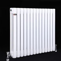 丹斯提尼家用水暖散热片钢制立式耐腐晶钢_中心距600-20柱(宽12)