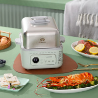 大宇多功能电蒸锅DYZG-1568