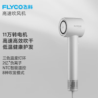 FLYCO飞科吹风机FH6351星空灰