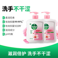 滴露健康抑菌洗手液滋润倍护450g+450g