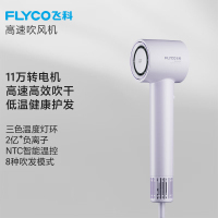 飞科(FLYCO)吹风机 6350