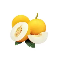 嗨果粒精品沙漠蜜瓜 8斤以上