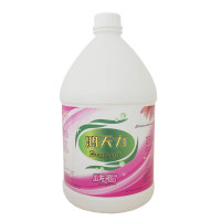 鸿天力洗手液3.8L 无味