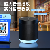 爱国者 T33蓝牙音响 户外便携骑行炫彩夜灯音箱 智能Ai语音 手机电脑车载低音炮 磨砂白[AI语音版]